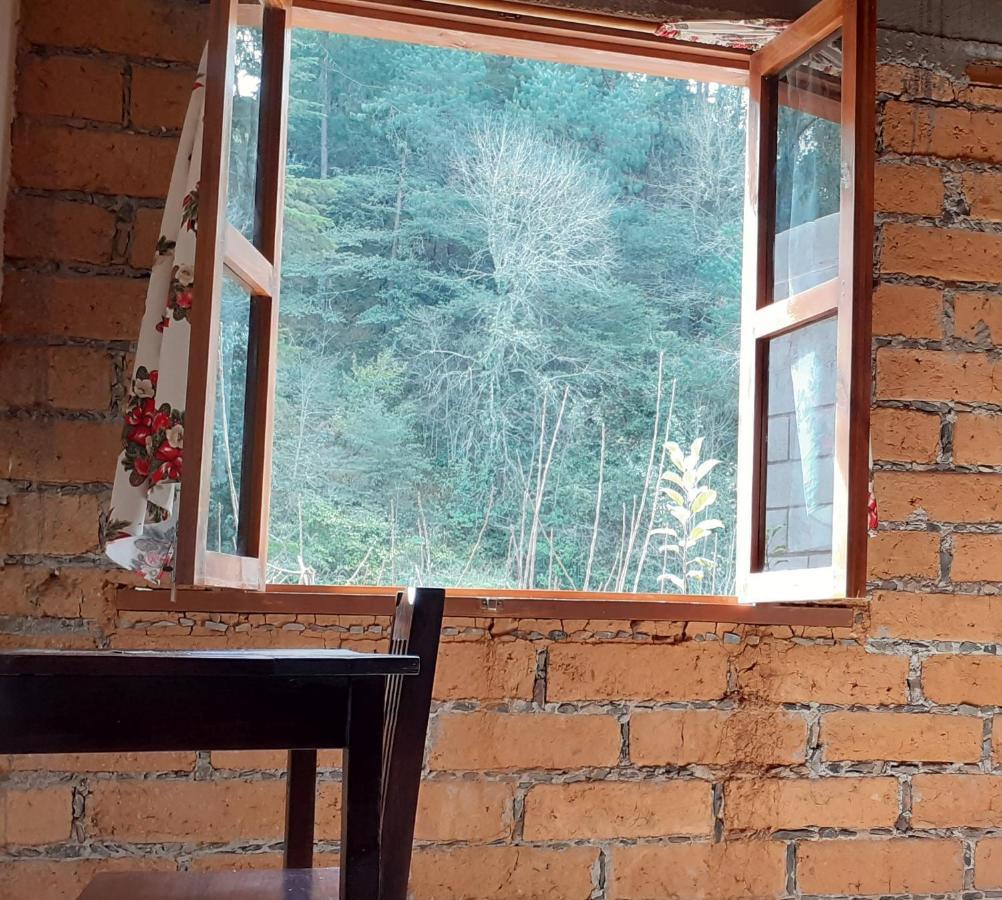 Habitacion Cabana Huapango #4 Pinal de Amoles Zewnętrze zdjęcie